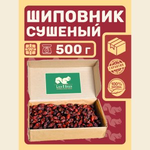 Шиповник